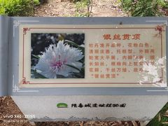 -洛阳市隋唐城遗址植物园