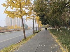 -白鹭湾湿地公园