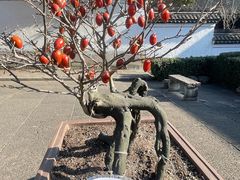 -宁波市保国寺古建筑博物馆