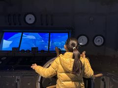 -大连圣亚海洋世界