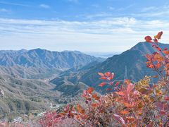 -大岭沟猕猴桃谷风景区