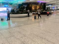 -广州白云国际机场-T2航站楼