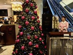 -上海锦江汤臣洲际大酒店壹阶层