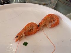 -顺峰(阜成店)