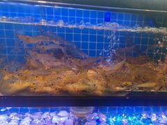 -透明思烤·自助烤肉海鲜火锅(东部星悦天地店)