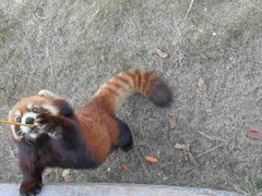 -泉州海丝野生动物世界