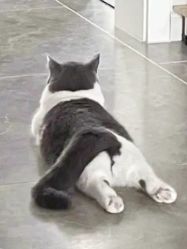 -Oasis Beauty水磨坊科技美肤中心