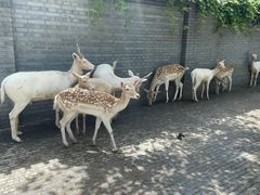 -北京野生动物园