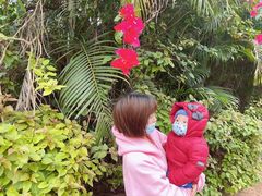 -东寨港红树林旅游区