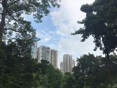 -晓港公园