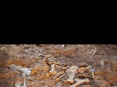 -世界恐龙谷景区