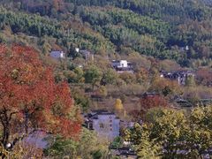 -塔川景区