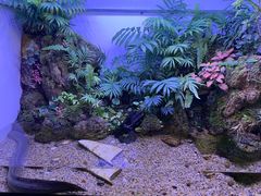 -上海海洋水族馆