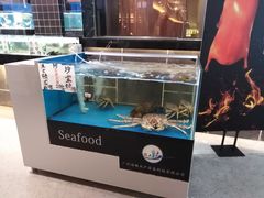 -宝园酒家(美林M·LIVE天地东座店)