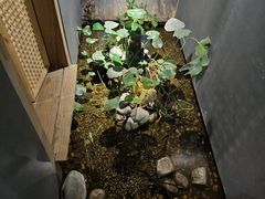 -邈墨茶馆(凤起路店)