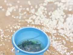 -那香海钻石沙滩浴场