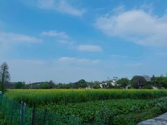 -广富林郊野公园
