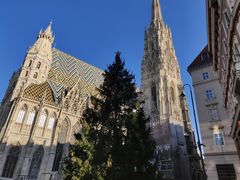 -斯蒂芬主教座堂(Stephansdom)