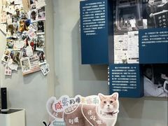 -伟伟宠物医院·CT影像中心·瑞派犬猫综合性门诊(汉口总院)