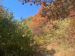 -北京西山国家森林公园