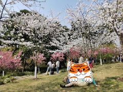 -南山植物园