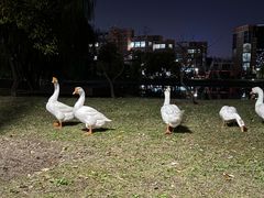 -中国计量大学(西校区)