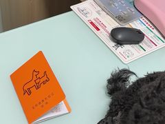 -宠福鑫康馨动物医院·骨科·眼科
