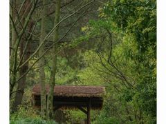 -梦姑塘文化公园