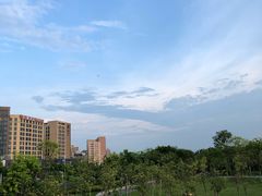 -宝安西湾红树林湿地公园