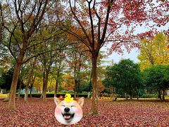 -白塘生态植物园