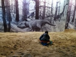 -恐龙探索乐园(磁器口店)