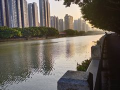 -光明港公园