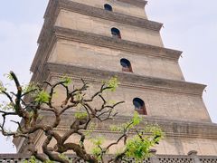 -大慈恩寺(大雁塔)