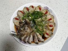 -田螺阿姨自营月嫂·育儿嫂(高新店)