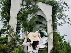 -空港花田景区