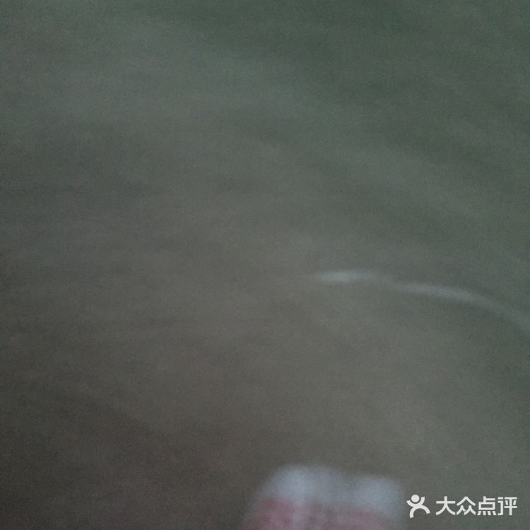 冬天也不会掉叶子，春天来了