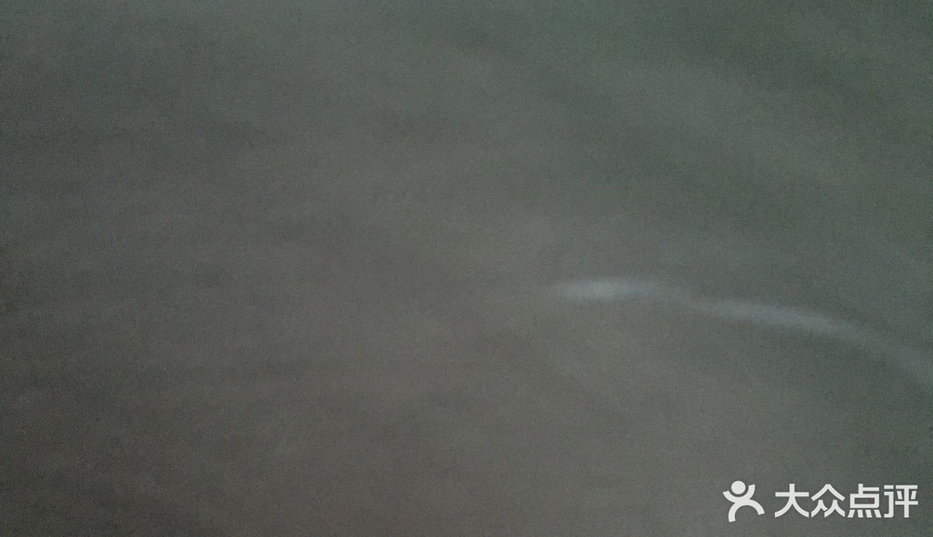 冬天也不会掉叶子，春天来了