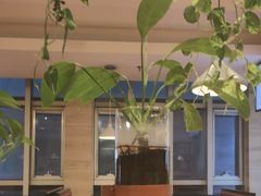 -比格比萨自助(宋家庄店)