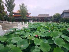 -大悲禅寺