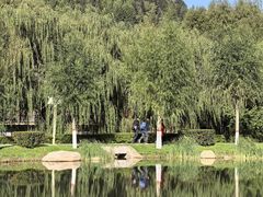 -芦芽山旅游度假区