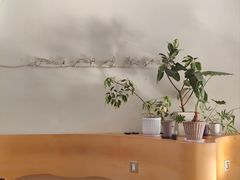 -fishtank鱼缸咖啡(三山街店)