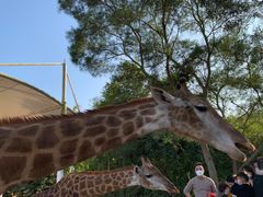 -泉州海丝野生动物世界