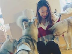 -Husky Go! 哈士奇体验馆·宠物咖啡厅狗咖