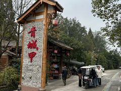 -青城甲(青城山店)