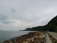 -杨梅坑