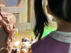 -萌宠奇缘