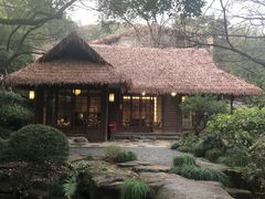-中国茶叶博物馆(双峰馆区)