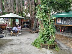 -柴犬高等学院·狗咖·柴犬售卖·宠物训练