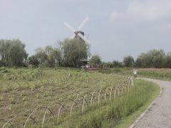 -漩门湾国家湿地公园