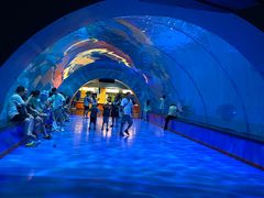 -海合安青岛极地海洋公园